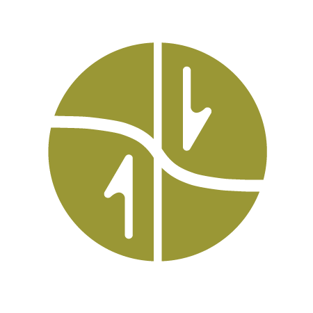 Short-Term Crustal Dynamics Logo