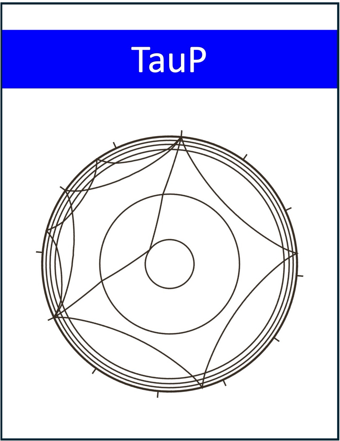 TauP